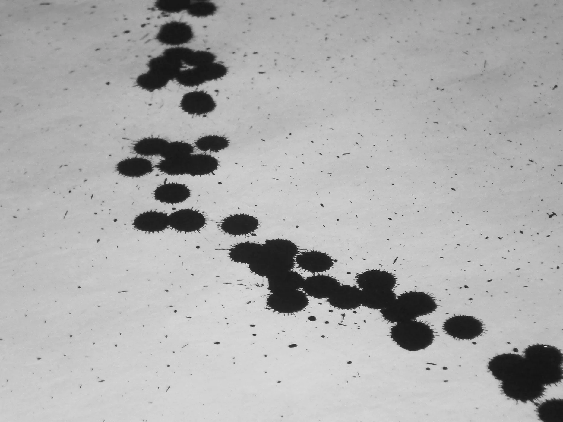 900 Gotas — plate 4