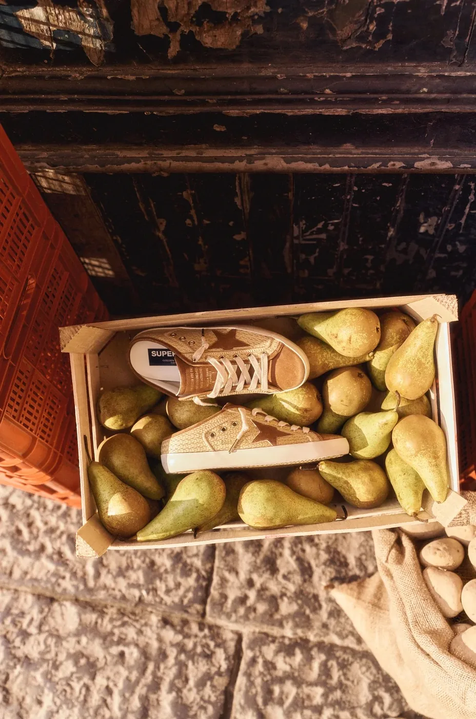 Golden Goose — plate 8