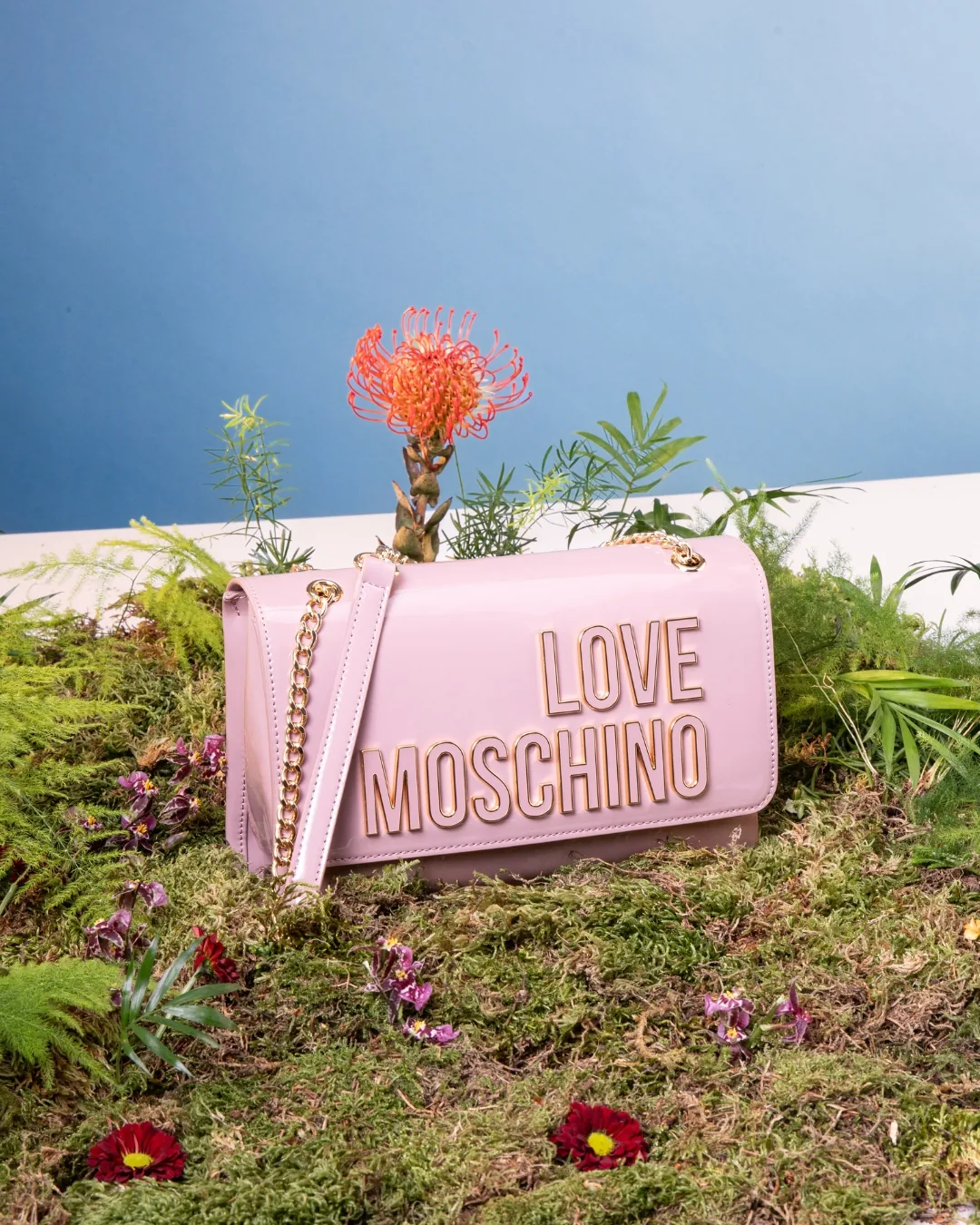 Love Moschino — plate 11